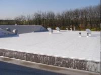 Chicago Flat Roof Company image 1